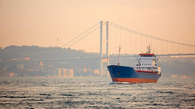 A cargo ship in the Bosphorus, Istanbul, Turkey