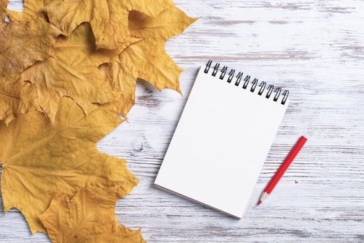 Spiral notepad and pen lies on vintage wooden desk with bright foliage. Flat lay composition with autumn leaves on white wooden surface. Day planning and relaxation. Blank notepaper with copy space