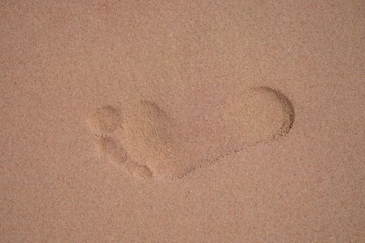 Footprints on wet sand sand on beach. Human footprints on sea sand. Tourism and vacation concept