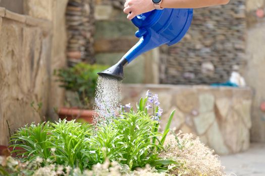 Woman watering flowers in garden outdoors. Eco hobby and gardening concept