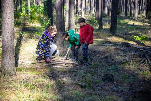 Family with mother and two children boy sibling brothers sits in the forest on felled logs or grass in summer. Happy family in colorful clothes have a hike in autumn forest.