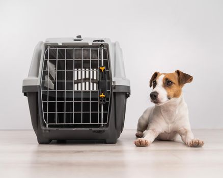 Dog sitting next to an open plastic carrier