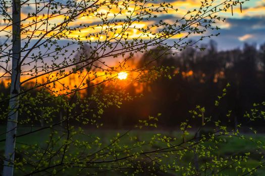 Spring landscape in the countryside. Beautiful sunset in april.