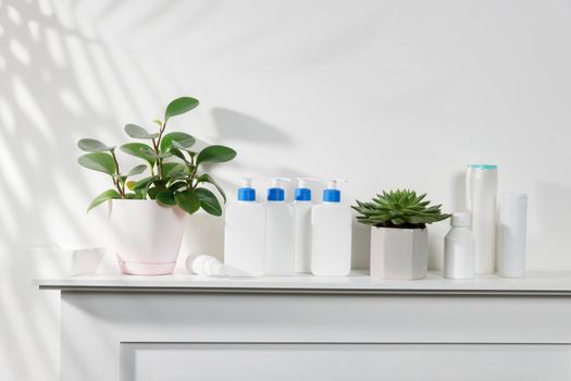 Peperomia Magnoliifolia in the pot. White bottles with a blue dispenser with shampoo, conditioner, cream and liquid soap stand on a shelf in the bathroom. Place for text.