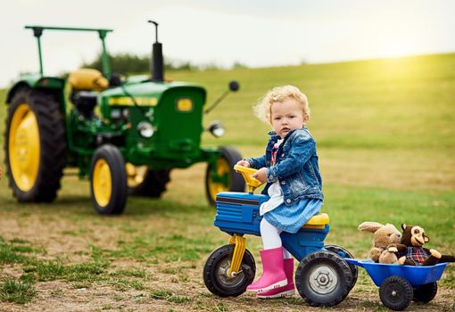 Portrait of an adorable little girl carting stuffed animals in a toy truck around a farm.