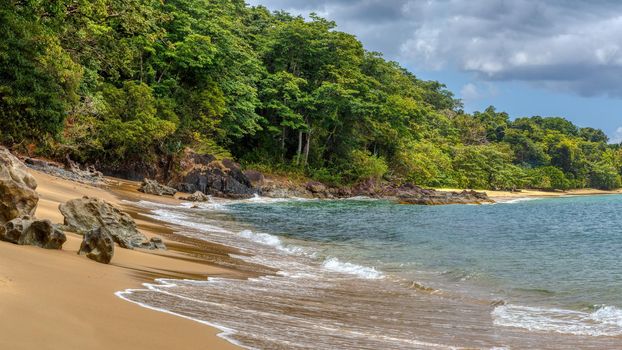 Wild paradise beach in Masoala, Madagascar, Africa Wilderness, beautiful nature wilderness landscape