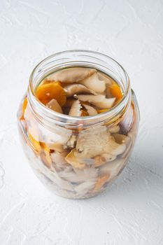 Fermented food: Mushroom preservation set, on white background