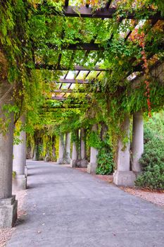 Beautiful concrete structure in the park with greenery