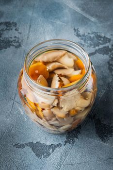 Fermented food: Mushroom preservation set, on gray background