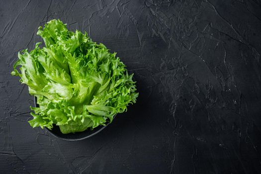 Raw organic green oak lettuce leaves, on black background, top view flat lay with copy space for text