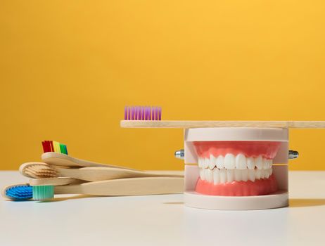 plastic model of a human jaw with white teeth and wooden toothbrush on a yellow background, oral hygiene
