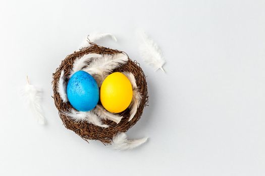Ukrainian Easter Eggs painted Blue and Yellow in the nest with feathers. National flag colors. Support Ukraine 