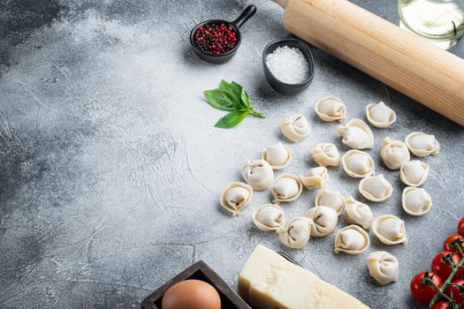 Italian tortellini with fresh ricotta leaves and tomatoes set, on gray background , with copyspace and space for text