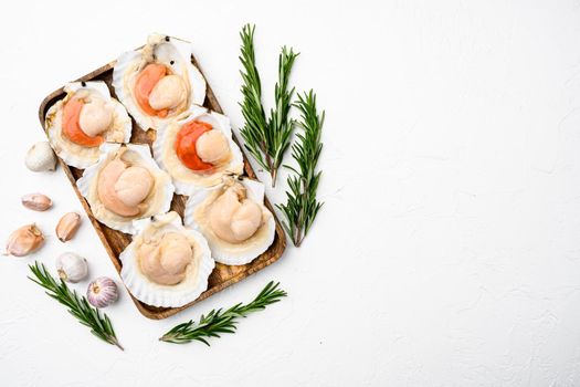 Seared scallops shell with butter, garlic set, on white stone table background, top view flat lay, with copy space for text