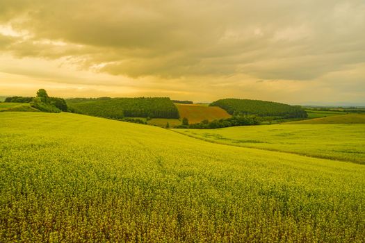 Sunset view with meadow in Hokkaido. Shooting Location: Hokkaido Biei-cho