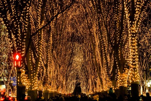 Night view of the light of light of Sendai Jinjoji Street. Shooting Location: Sendai, Miyagi Prefecture
