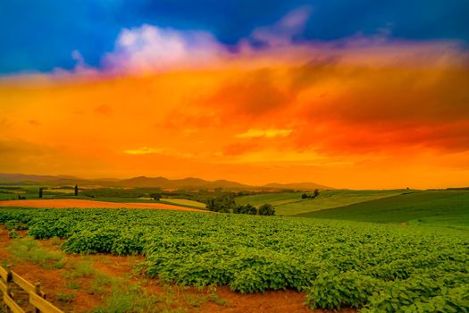 Nature and dusk of Biei-cho. Shooting Location: Hokkaido Biei-cho