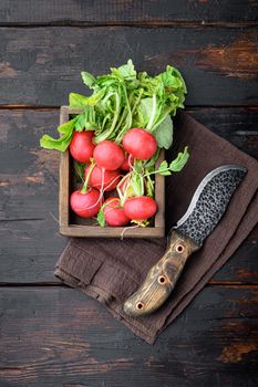 Small garden radish set, on old dark wooden table background, top view flat lay, with copy space for text