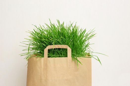 Brown clean paper bag with green grass on a light background. Close up. Mock up. Copy space
