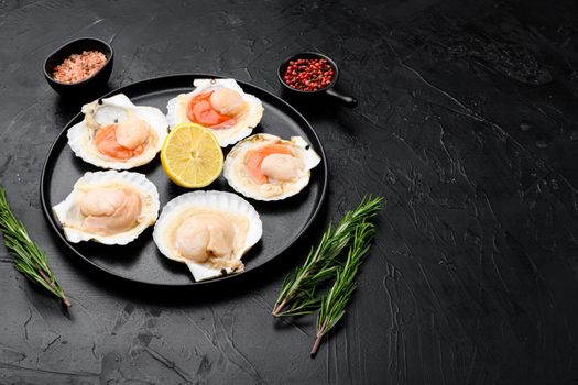Seafood. Shellfish. Raw scallops with lemon set, on black dark stone table background, with copy space for text
