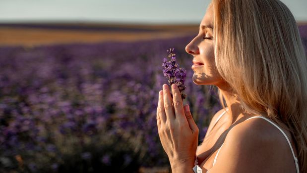 Beautiful blonde is in the field of lavender, holds a bouquet of flowers and enjoys aromatherapy. The girl's eyes are closed. The concept of aromatherapy, lavender oil, photo shoot in lavender.