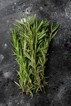 Fresh Rosemary herb set