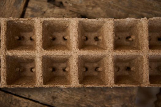 Close-up. Overhead view of an empty peat pots cassette- container for seedling on a dirty wooden surface. Gardening hobby concept, horticulture