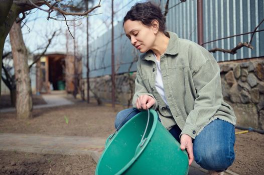 Middle aged Hispanic woman gardener watering plants from bucket in the garden of her country house. Horticulture, agriculture, Earth Day, home gardening concept