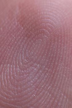 Close-up surface Fingerprint - extreme macro photography. Biometrics and fingerprinting.