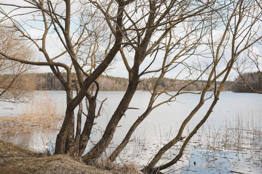 Picturesque view of river or lake in spring. Blue water surface with small waves under blue sky.