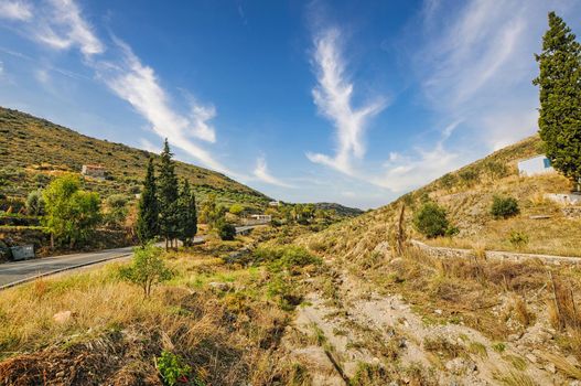 Beautiful nature with trees in the saronic island of Aegina