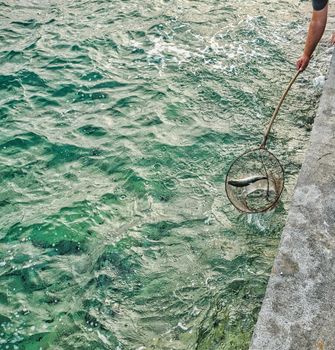 Fishing in Aegina island