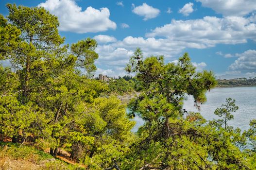 Beautiful nature with trees in the saronic island of Aegina