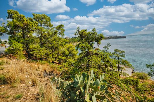 Beautiful nature in Aegina island