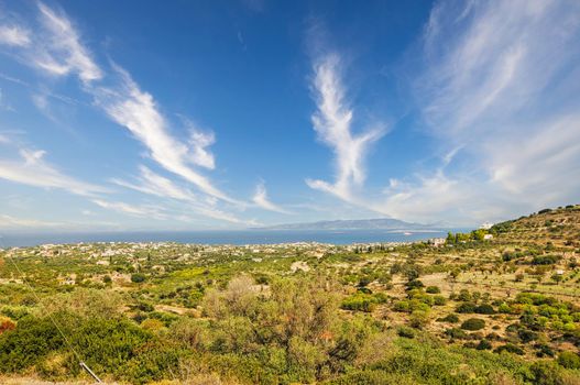 Beautiful nature with trees in the saronic island of Aegina