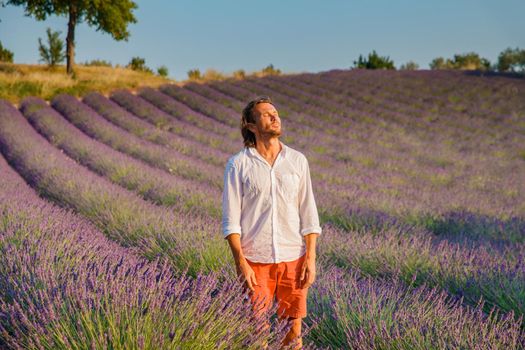 The handsome brutal man with long brunette hair poses in the field of lavender in provence near Valensole, France, clear sunny weather, in a rows of lavender, red shorts, white shirts, blue sky. High quality photo