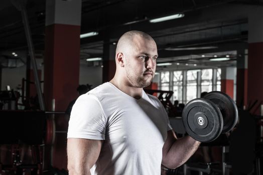 Male bodybuilder engaged with dumbbells in the gym. Healthy lifestyle