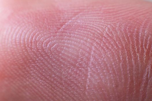 Close-up surface Fingerprint - extreme macro photography. Biometrics and fingerprinting.