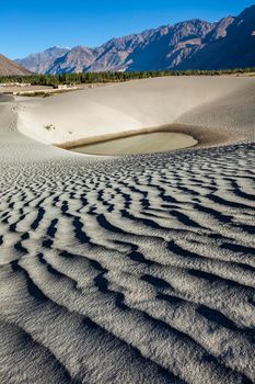 Sand dunes of small desert in Nubra valley in Himalayas. Hunder, Nubra valley, Ladakh
