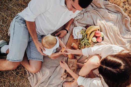 Top Down View of Young Family, Mother and Father with Their Toddler Daughter Having Picnic Time Outdoors