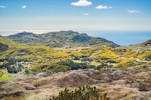 Summer mountain landscape at national park Lovcen, Montenegro. Sunny summer day.