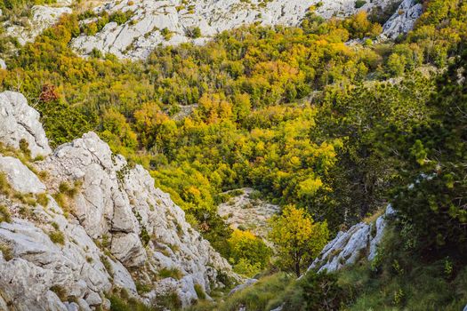 Summer mountain landscape at national park Lovcen, Montenegro. Sunny summer day.