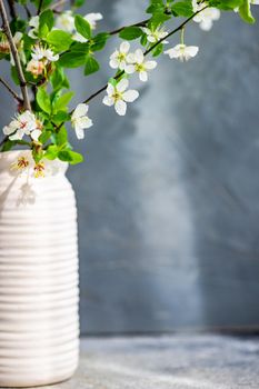 Blooming cherry tree branches in the vase as a spring interior decoration