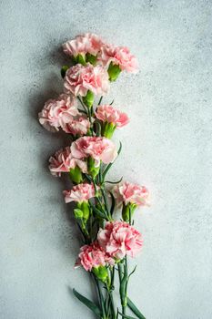 Spring bouquet with pink cloves on concrete background