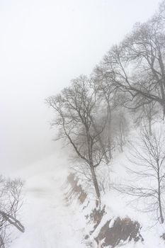 Covered with snow Caucasus mountain in misty day time in Bakuriani resort, Georgia