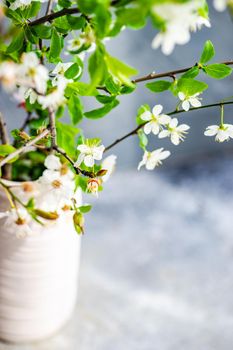 Blooming cherry tree branches in the vase as a spring interior decoration