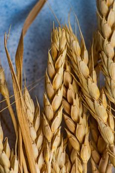 Close up of wheat ears on concrete background