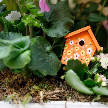 Small decorative orange birdhouse with red polka dots in primrose leaves