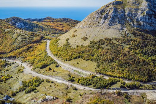 Summer mountain landscape at national park Lovcen, Montenegro. Sunny summer day.