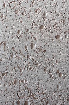 Wall tile sea shell abstract texture